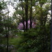 Jane Corning Photo 7