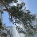 Raymond Snow Photo 31
