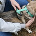Greta Nelson Photo 7
