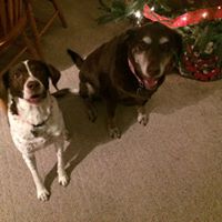 Joy Watson Photo 9