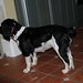Betty Springer Photo 21