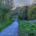 Penny Wood Photo 24