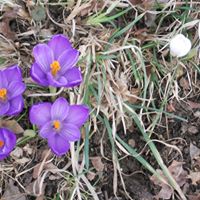 Debra Hilliard Photo 8