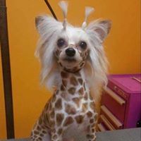 Jessica Craft Photo 39