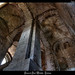 Michele Esser Photo 11
