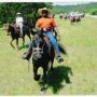 Ken Meeks Photo 25