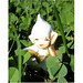 Ernest Patrick Photo 15
