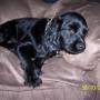 Joanne Mcdaniel Photo 16