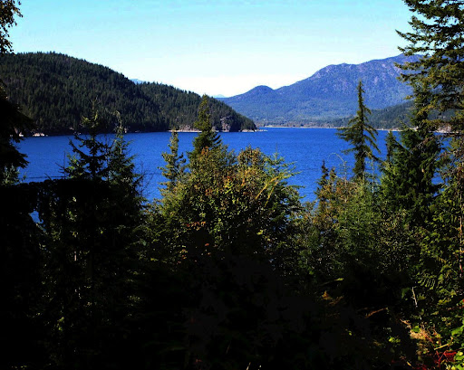 Marion Johnston Photo 37