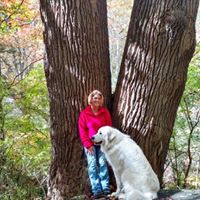 Debra Huddleston Photo 5