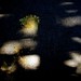Sarah Alford Photo 14