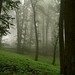 Jeremy Forest Photo 13