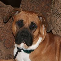 Shellie Mcgaughey Photo 7