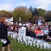 Anne Somerville Photo 4