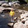 Cindy Whitaker Photo 42
