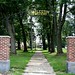 Diane Ritchey Photo 17