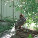 Jasper Falconer Photo 5