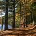 Jeanne Toth Photo 13