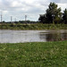 Sherry Flood Photo 12