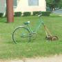 Marsha Wagner Photo 28