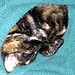 Sarah Bast Photo 11