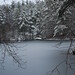 Harold Collins Photo 29