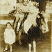 Dorothy Newman Photo 31