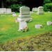 Grace Brown Photo 12