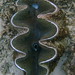 Tracey Dove Photo 13