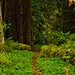 Harold Engel Photo 18