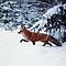 Fred Powers Photo 26