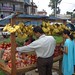 Sudha Patel Photo 12