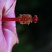 Robert Weinert Photo 15