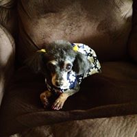 Shirley Todd Photo 14