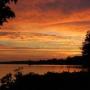 Cindy Dotson Photo 21