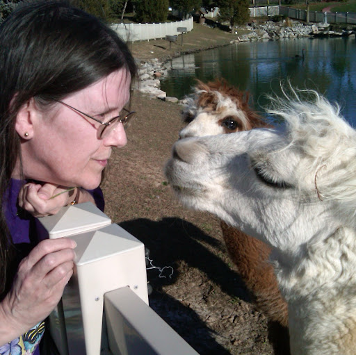 Karen Stallard Photo 13