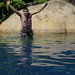 Jason Leap Photo 11