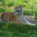 Scott Rawlins Photo 16