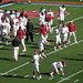 Brandon Schmidt Photo 18