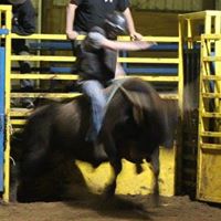 Nicholas Anglin Photo 5