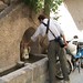 Kelly Provence Photo 16