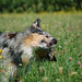 Ginny Shepherd Photo 8