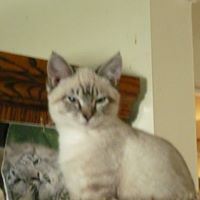 George Jacobson Photo 22