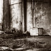 Mark Conley Photo 14