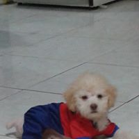 Dioselina Ramirez Photo 9