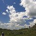 Russ Robbins Photo 15