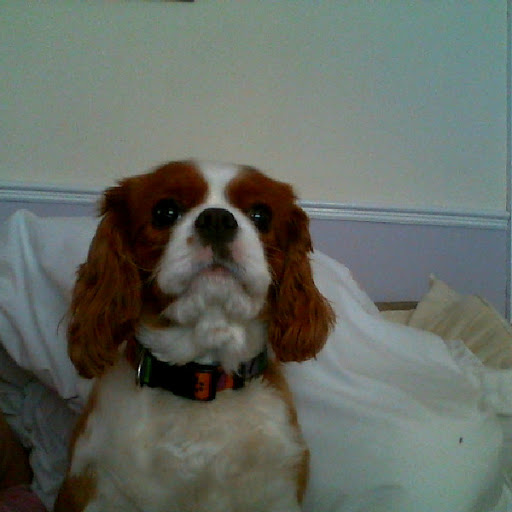 Millie Wright Photo 38