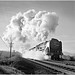 Alfred Bright Photo 7