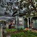Lynn Gray Photo 14
