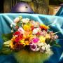 Judy Conaway Photo 16